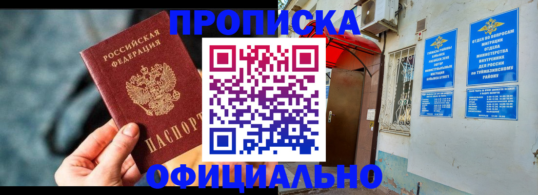 прописка 2025 в Звенигово